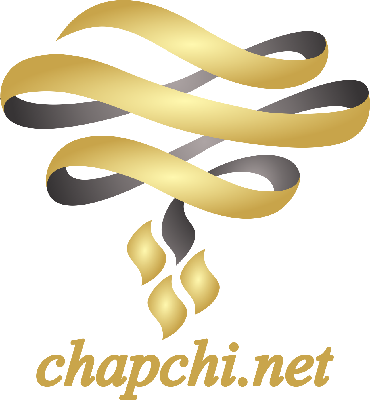 chapchi.net